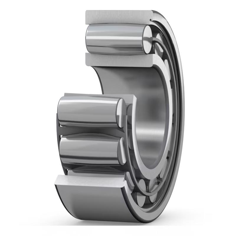 CARB ring roller bearing